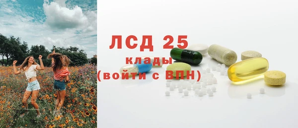 стафф Алексин