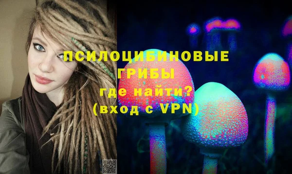 стафф Алексин